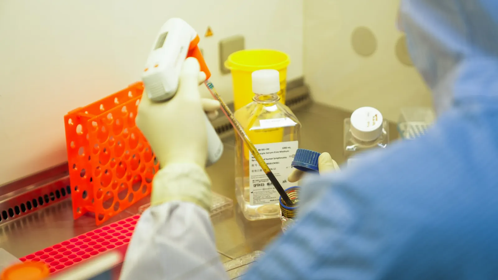 Laboratory scientist pipetting cell culture medium inside a biosafety cabinet in our GMP cleanroom