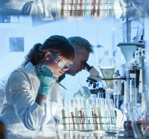 Clinical laboratory team processing mesenchymal stem cell suspension under a sterile hood