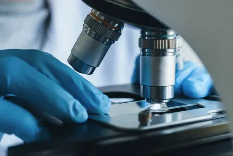 Immune cell culture examined under an inverted microscope