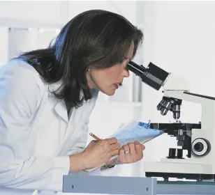 A scientist examining immune cell cultures in the laboratory